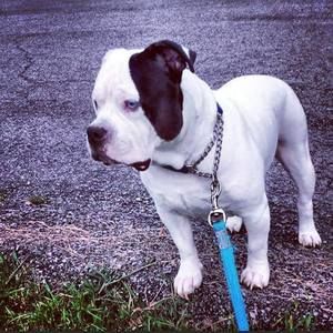 Meet your Posher, Beth